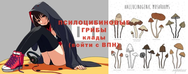 jwh Аркадак