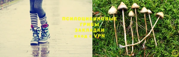 mix Армянск